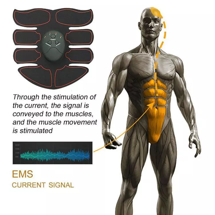 Muscle Stimulator & Fat Burner